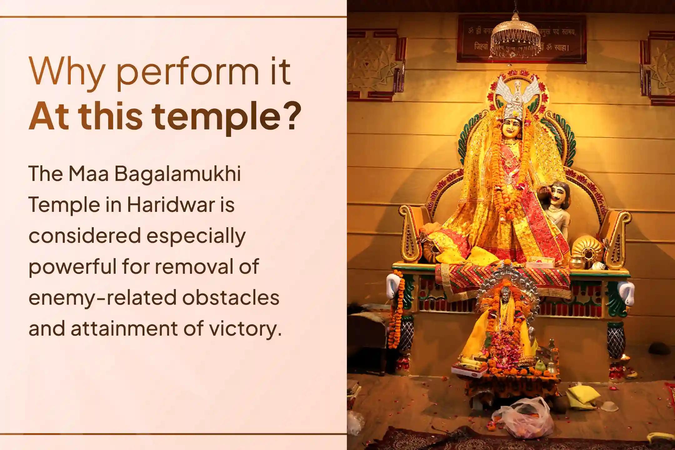 ✨ To safeguard yourself from rising negativity and the tactics of enemies, receive the combined grace of Maa Bagalamukhi and Lord Hanuman.