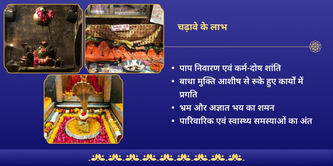 श्रापित दोष शांति राहु-शनि-शिव चढ़ावा 