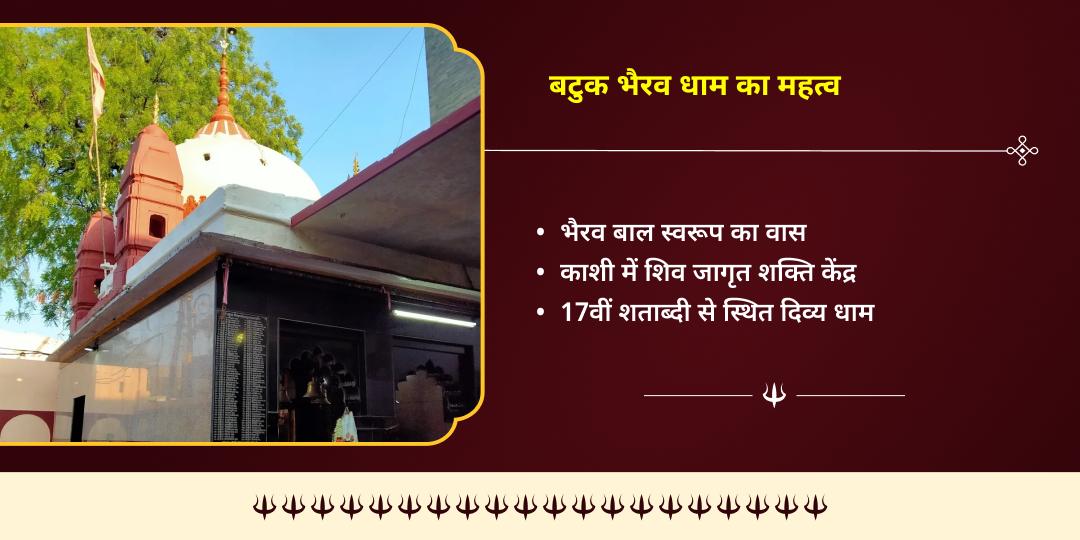 कालाष्टमी विशेष काशी जरूरतमंद एवं भैरव प्रिय वाहन श्वान सेवा