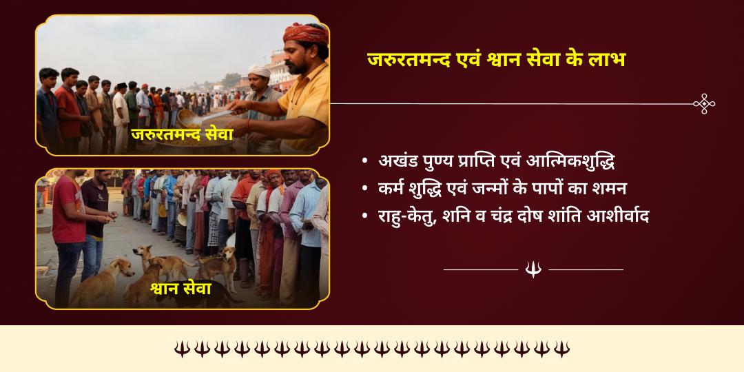 कालाष्टमी विशेष काशी जरूरतमंद एवं भैरव प्रिय वाहन श्वान सेवा