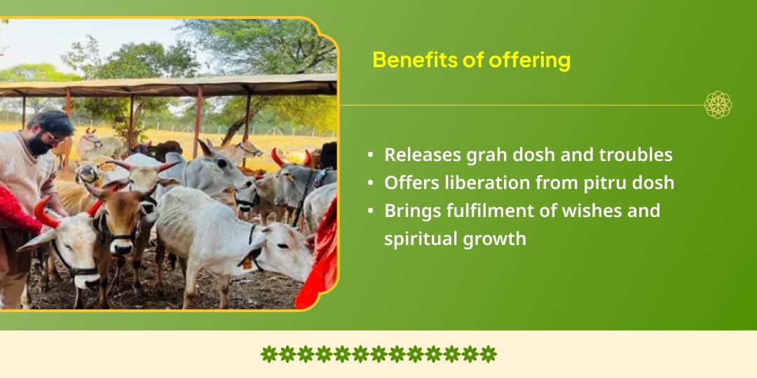 Masik Krishna Janmashtami Shri Krishna Priye Vrindavan Gauseva