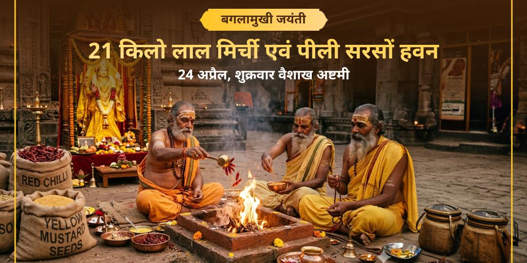 बगलामुखी जयंती 21kg लाल मिर्ची नज़र दोष हवन - 21kg पीली सरसों शत्रु विजय हवन