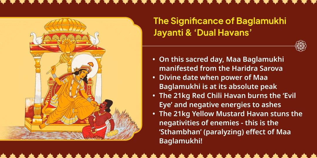 Bagalamukhi Jayanti 21kg Lal Mirchi-21 kg Yellow Mustard Havan For Evil Eye & Enemy Victory
