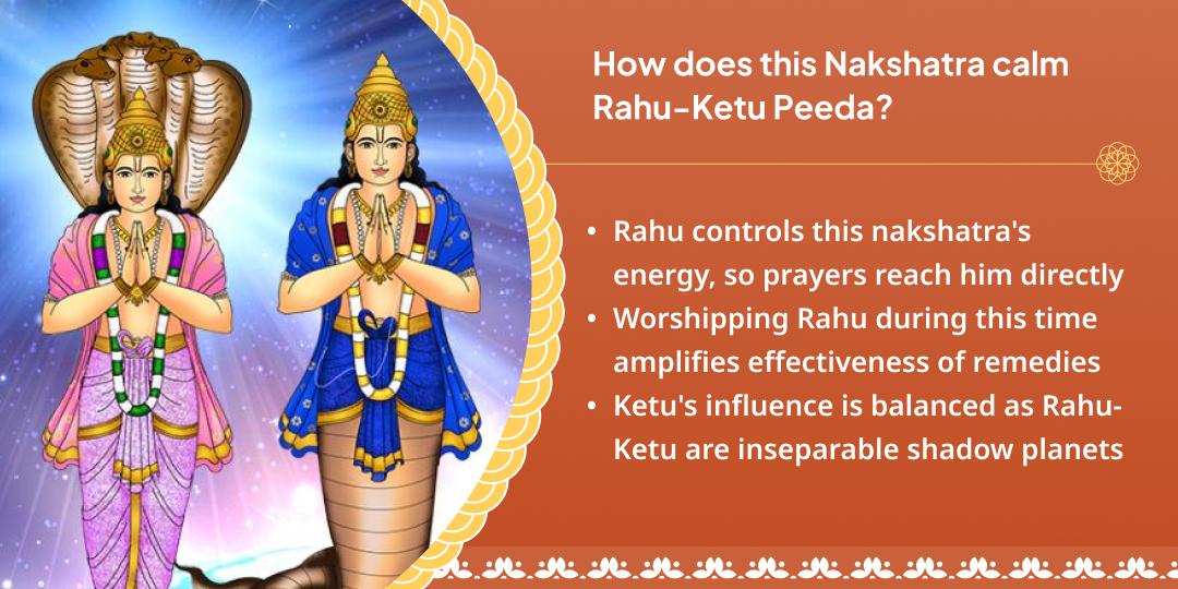 Shatabisha Nakshatra Rahu-Ketu Peeda Shanti Chadhava 