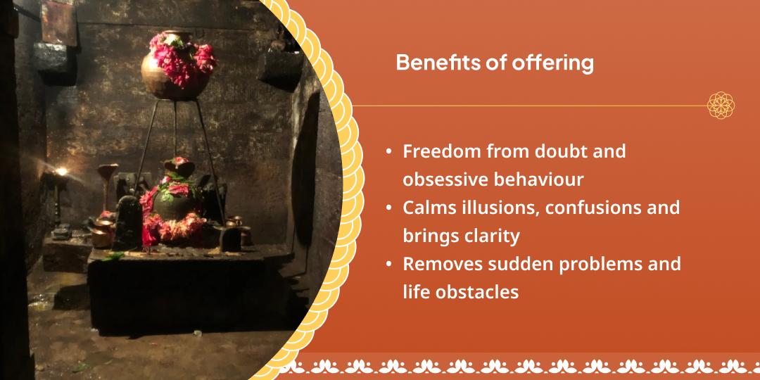 Shatabisha Nakshatra Rahu-Ketu Peeda Shanti Chadhava 