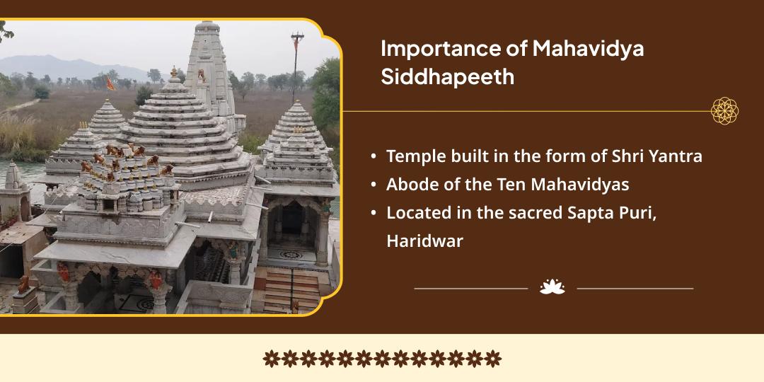 Amavasya 10 Mahavidya Sarva Karya Siddhi Havan Ahuti & Chadhava