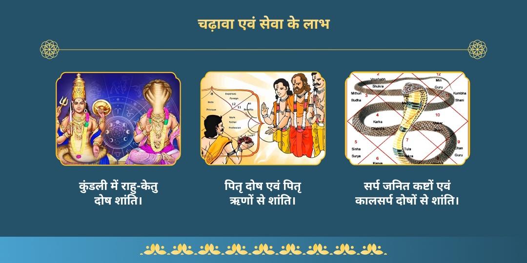 वैशाख अमावस्या काल सर्प दोष निवारण महा सेवा