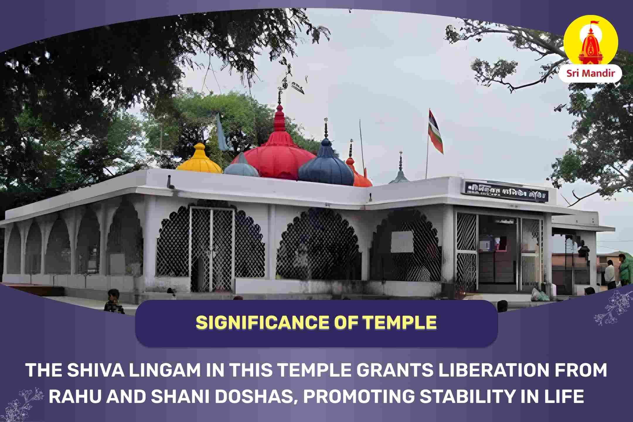 Ujjain Special Rahu-Shani Dosha Shanti Puja And Shiva Mahabhishek