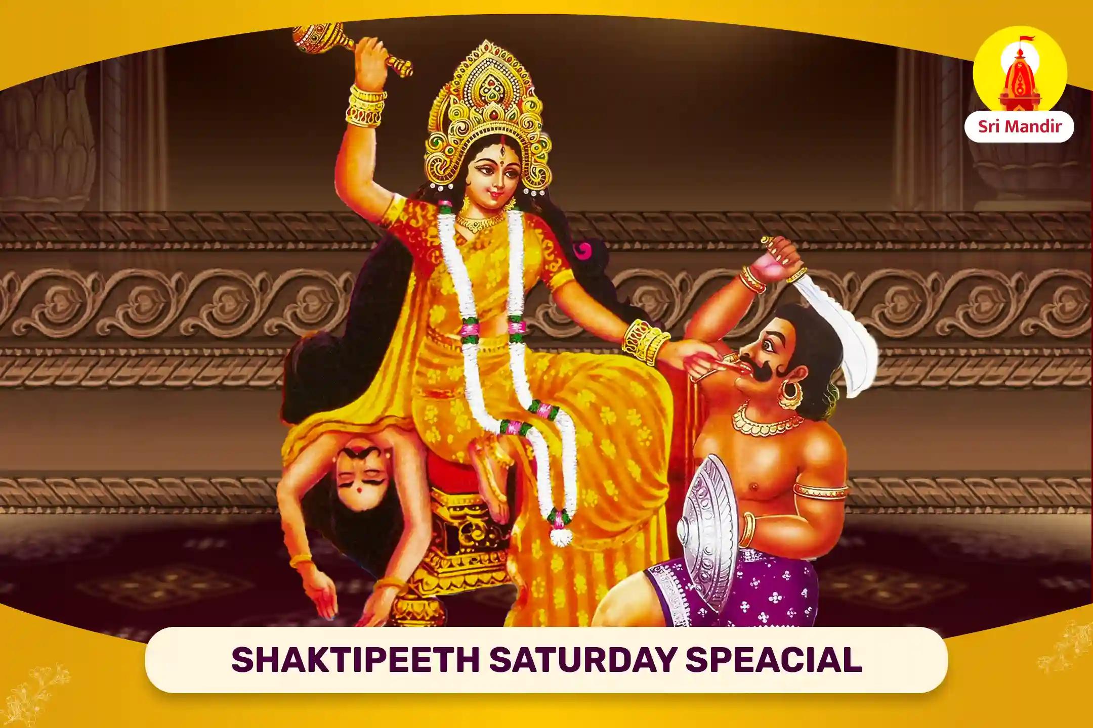 Shaktipeeth Saturday Speacial Shatru Buddhi Vinashini Maa Baglamukhi Tantra Yukta Mahayagya for Victory over Enemies
