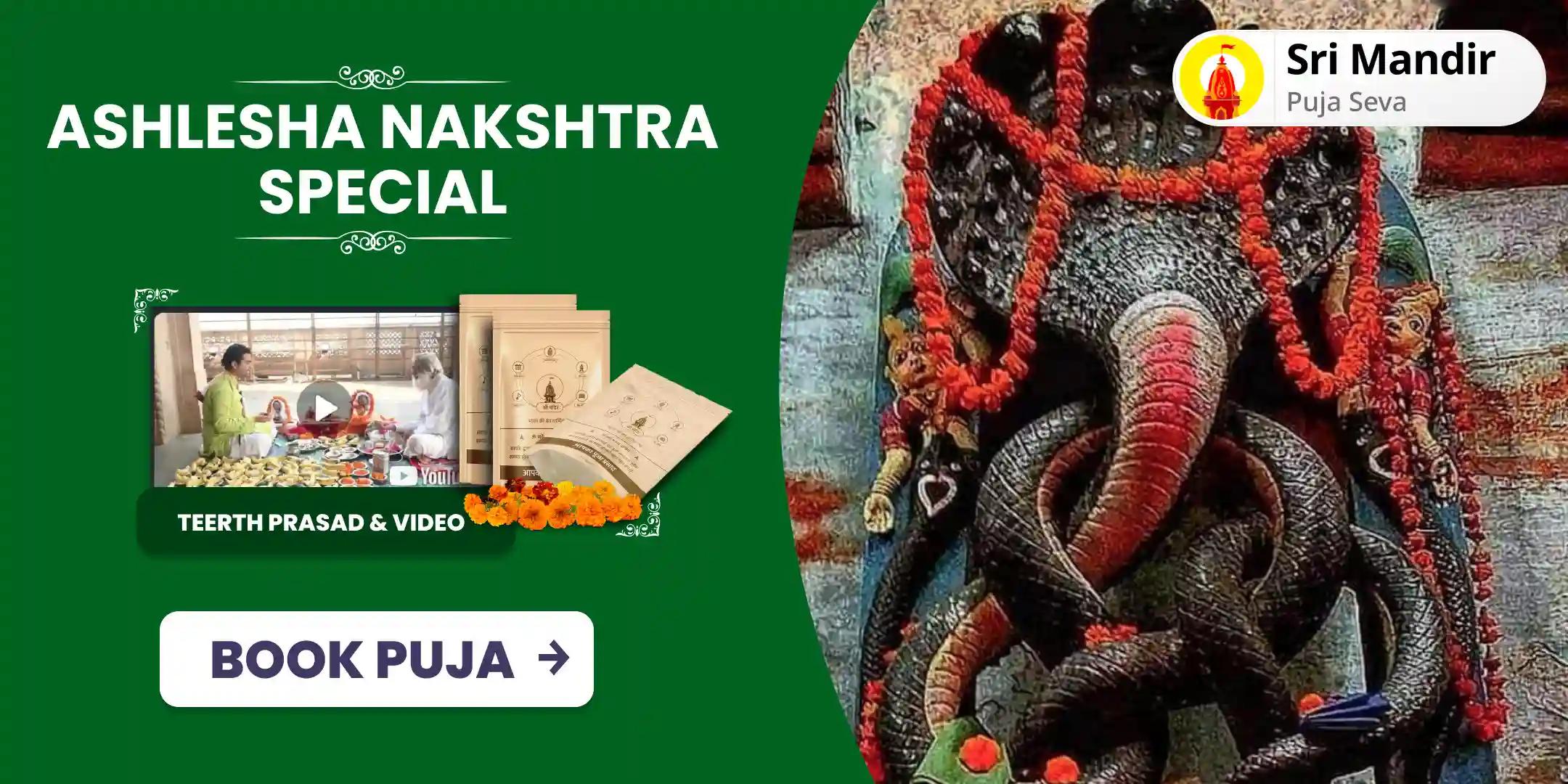 Ashlesha Nakshtra Special Kaal Sarp Dosha Shanti Mahapuja and Rudrabhishek for Protection from Accidents and to Attain Stability