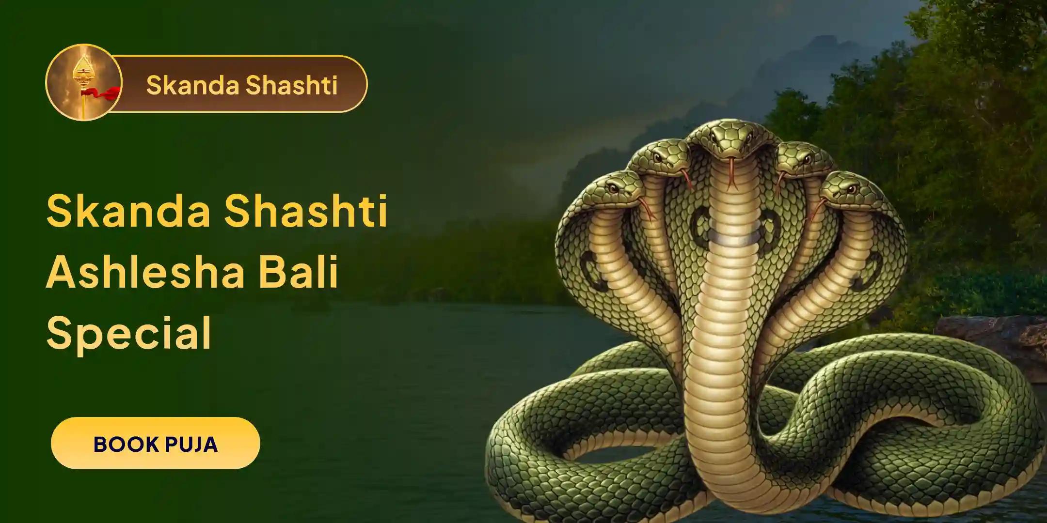 Ashlesha Naag Bali Puja Ashlesha Naag Bali Puja