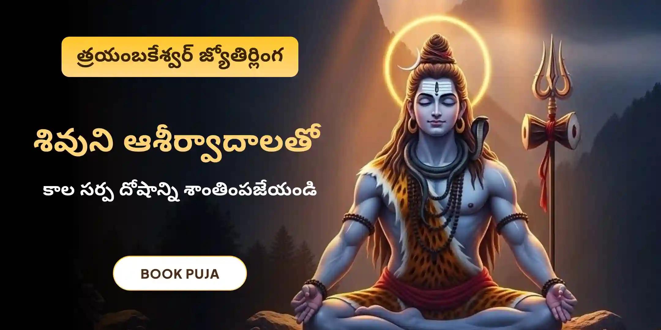 త్రయంబకేశ్వర క్షేత్రంలో కాల సర్ప దోష శాంతి పూజ త్రయంబకేశ్వర క్షేత్రంలో కాల సర్ప దోష శాంతి పూజ