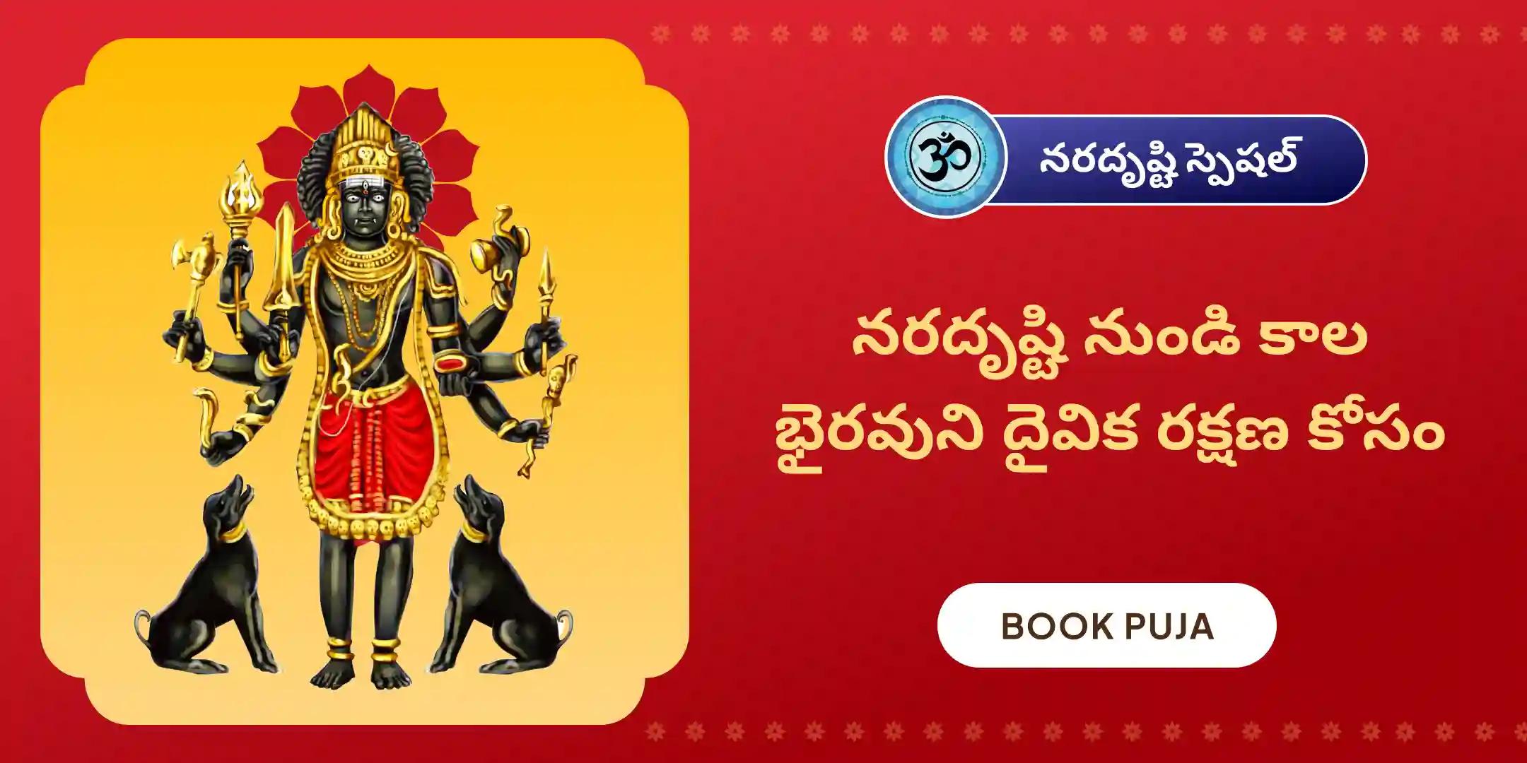 నరదృష్టి దోష శాంతి పూజ మరియు హోమం నరదృష్టి దోష శాంతి పూజ మరియు హోమం