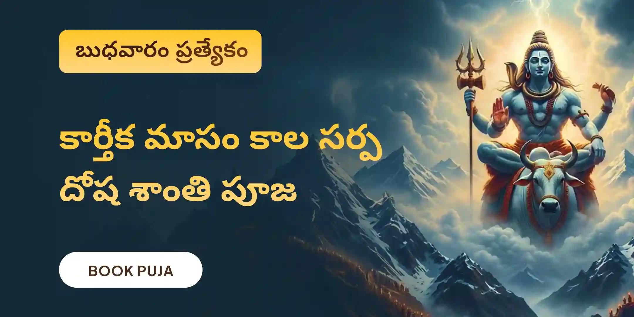 కాల సర్ప దోష శాంతి పూజ మరియు శివ రుద్రాభిషేకం కాల సర్ప దోష శాంతి పూజ మరియు శివ రుద్రాభిషేకం