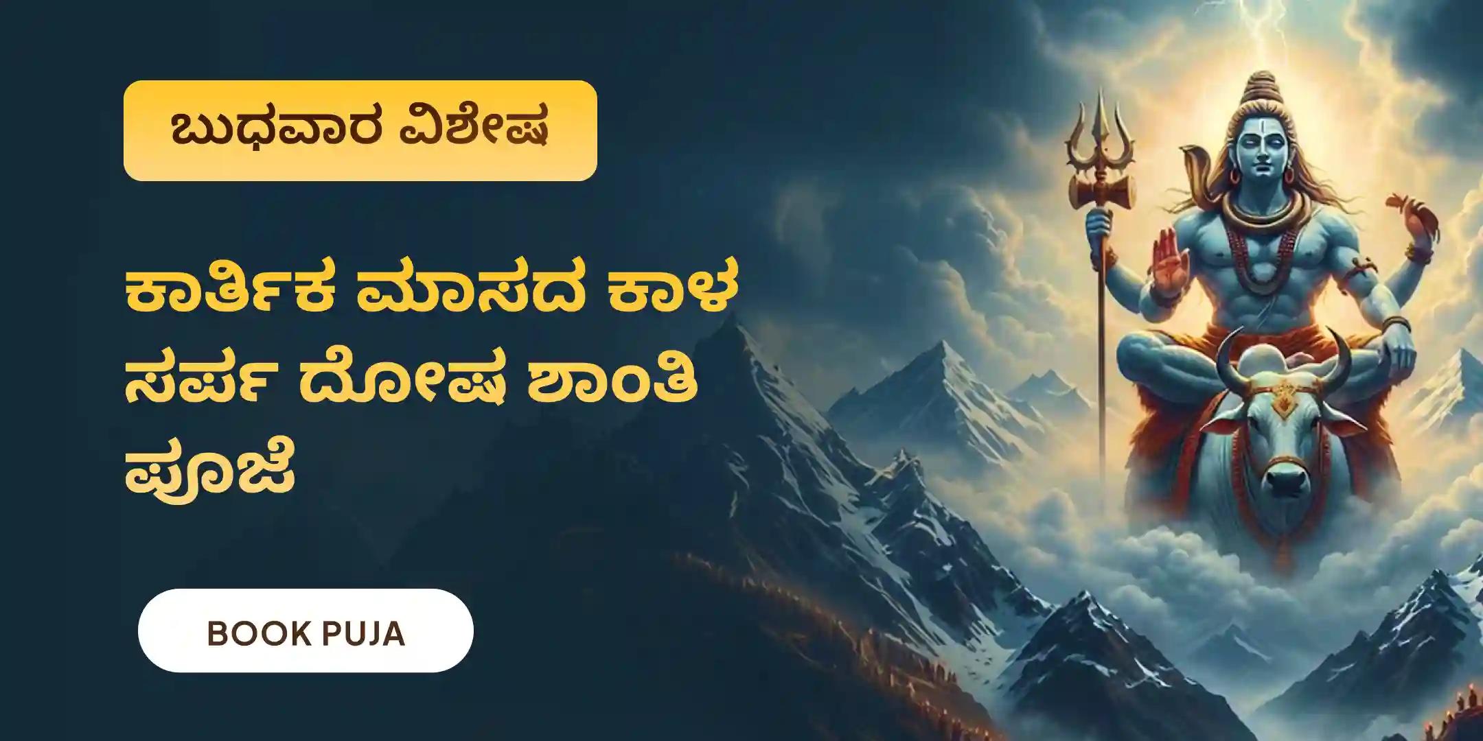 ಕಾಳ ಸರ್ಪ ದೋಷ ಶಾಂತಿ ಪೂಜೆ ಮತ್ತು ಶಿವ ರುದ್ರಾಭಿಷೇಕ ಕಾಳ ಸರ್ಪ ದೋಷ ಶಾಂತಿ ಪೂಜೆ ಮತ್ತು ಶಿವ ರುದ್ರಾಭಿಷೇಕ