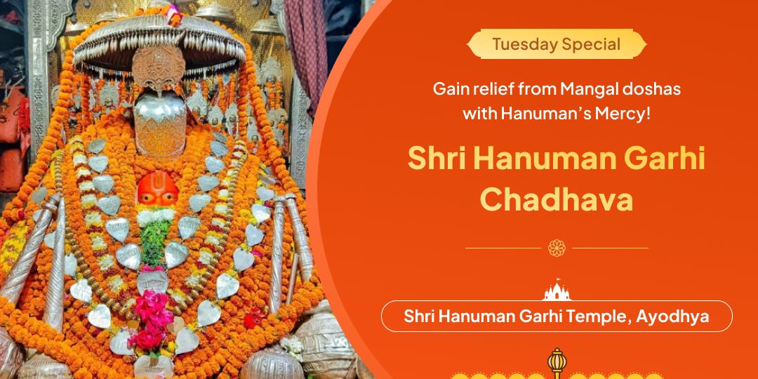 Receive graces from the living deity and receive inner strength with Tuesday Chadhava! Receive graces from the living deity and receive inner strength with Tuesday Chadhava!