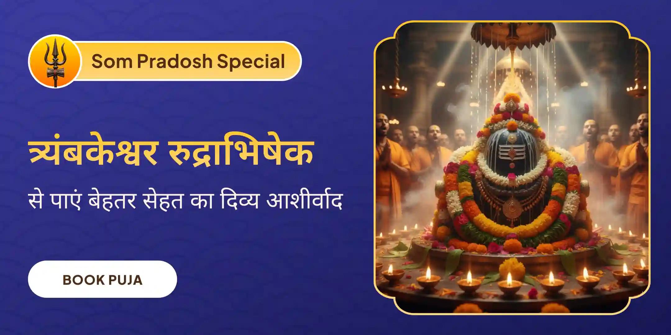 त्र्यंबकेश्वर रुद्राभिषेक त्र्यंबकेश्वर रुद्राभिषेक