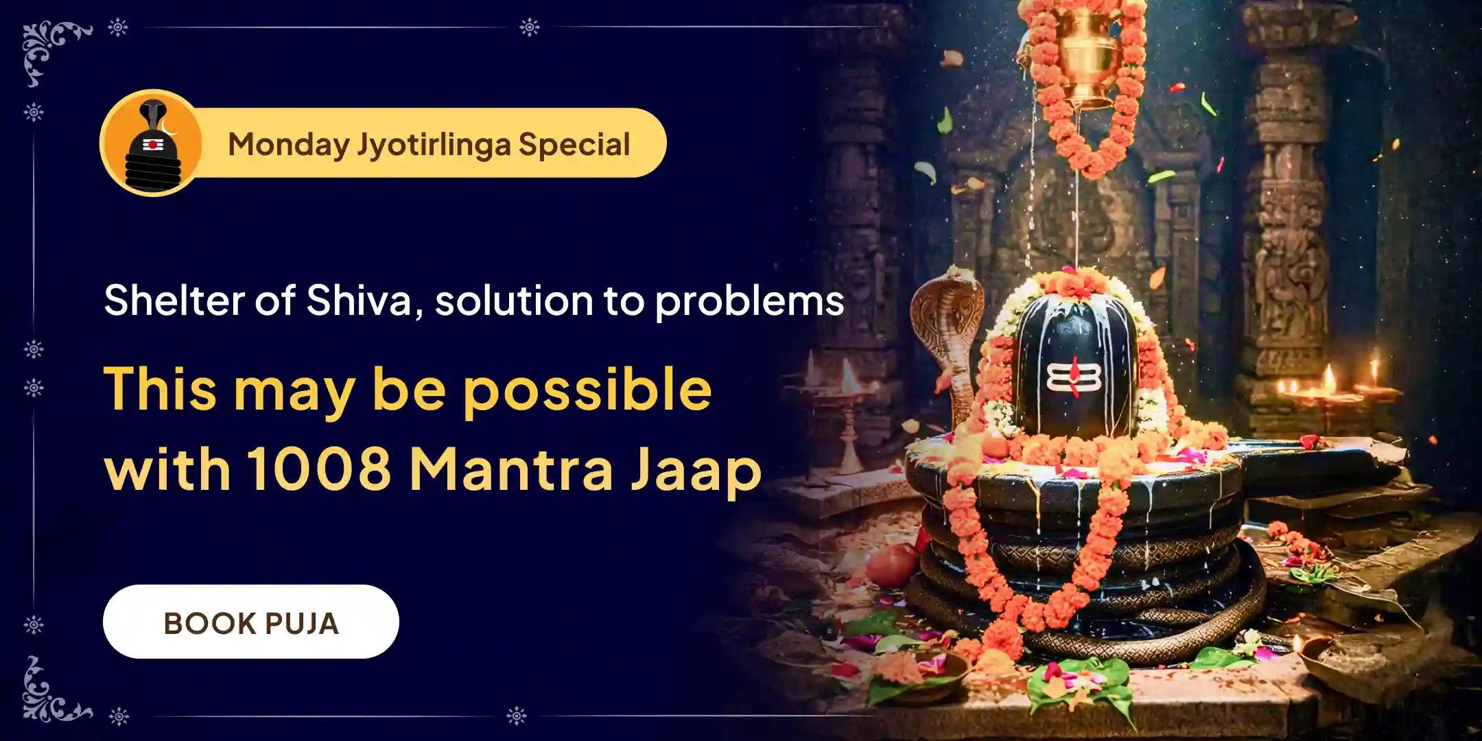 21 Dravya Maha Rudrabhishek and 1,008 Shiva Panchakshari Mantra Jaap 21 Dravya Maha Rudrabhishek and 1,008 Shiva Panchakshari Mantra Jaap