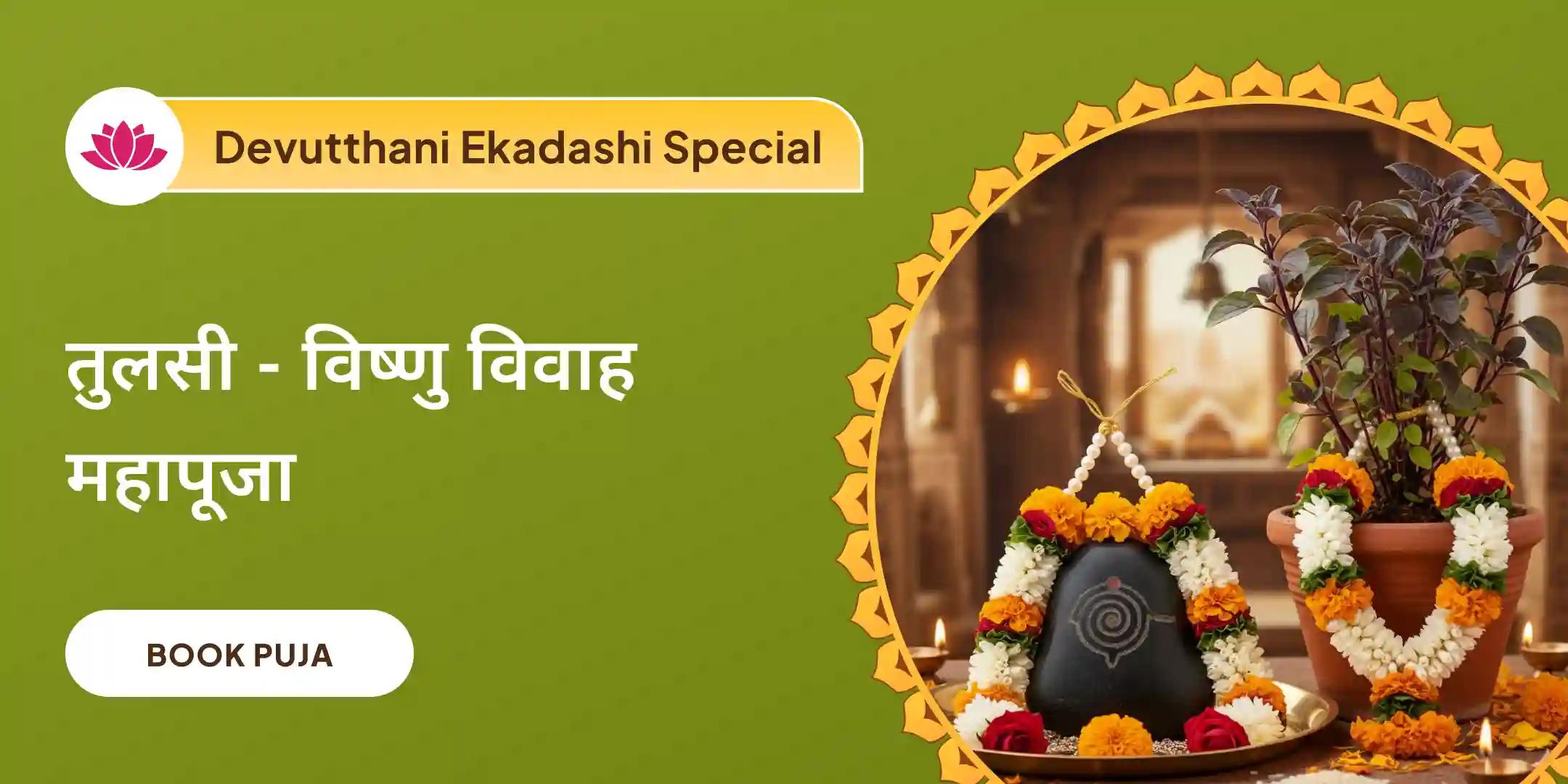 तुलसी-विष्णु विवाह पूजा और मंगल दोष निवारण अनुष्ठान और महापूजा तुलसी-विष्णु विवाह पूजा और मंगल दोष निवारण अनुष्ठान और महापूजा