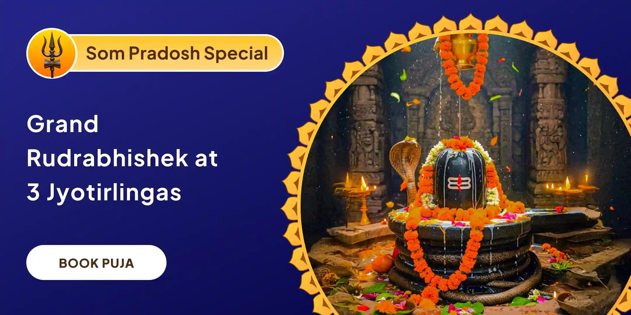 3 - Jyotirlinga - Trimbakeshwar, Omkareshwar and Grishneshwar Rudrabhishek and Rudra Havan 3 - Jyotirlinga - Trimbakeshwar, Omkareshwar and Grishneshwar Rudrabhishek and Rudra Havan