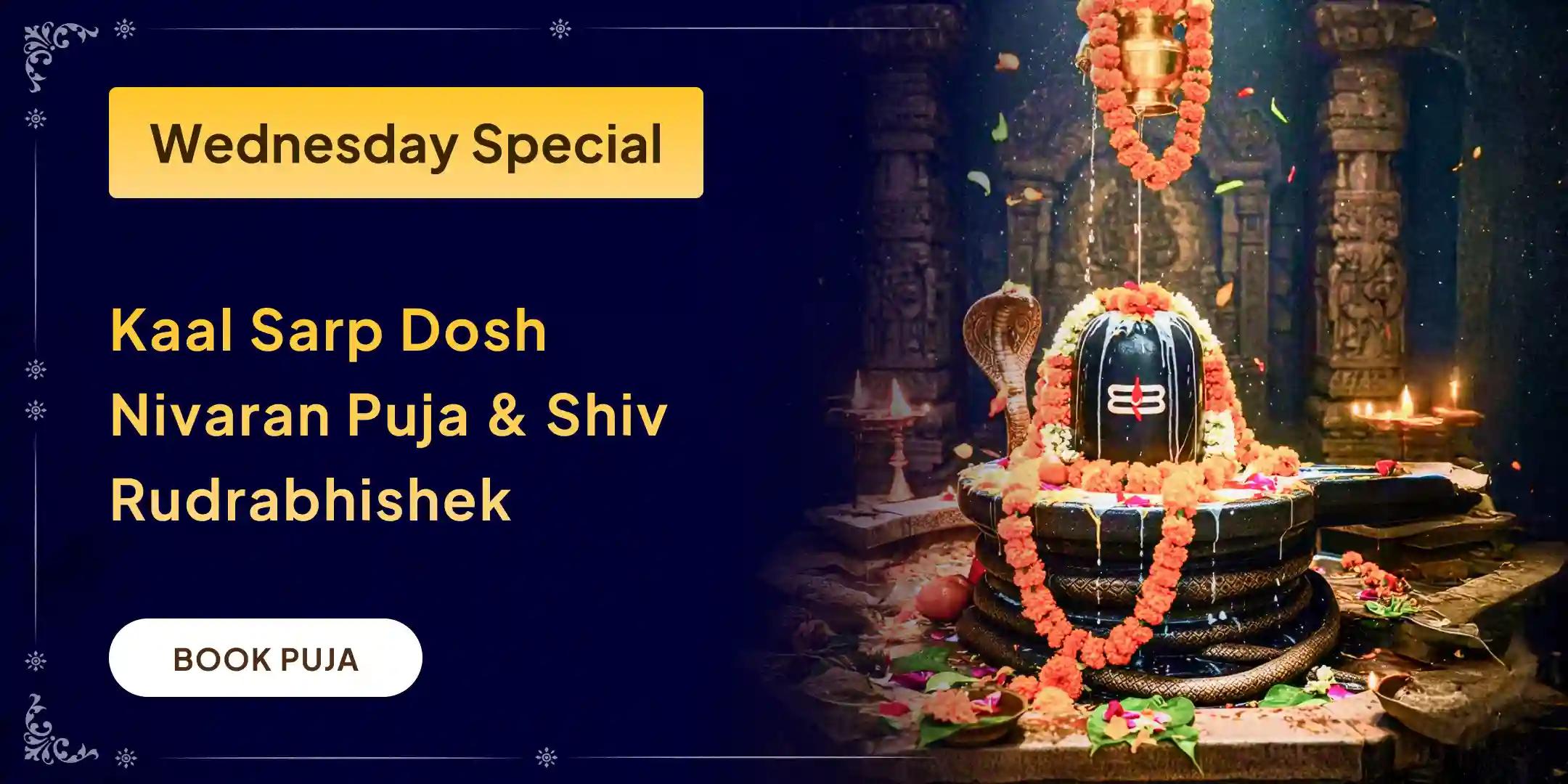 Kaal Sarp Dosha Nivaran Puja and Trimbakeshwar Jyotirlinga Rudrabhishek Kaal Sarp Dosha Nivaran Puja and Trimbakeshwar Jyotirlinga Rudrabhishek