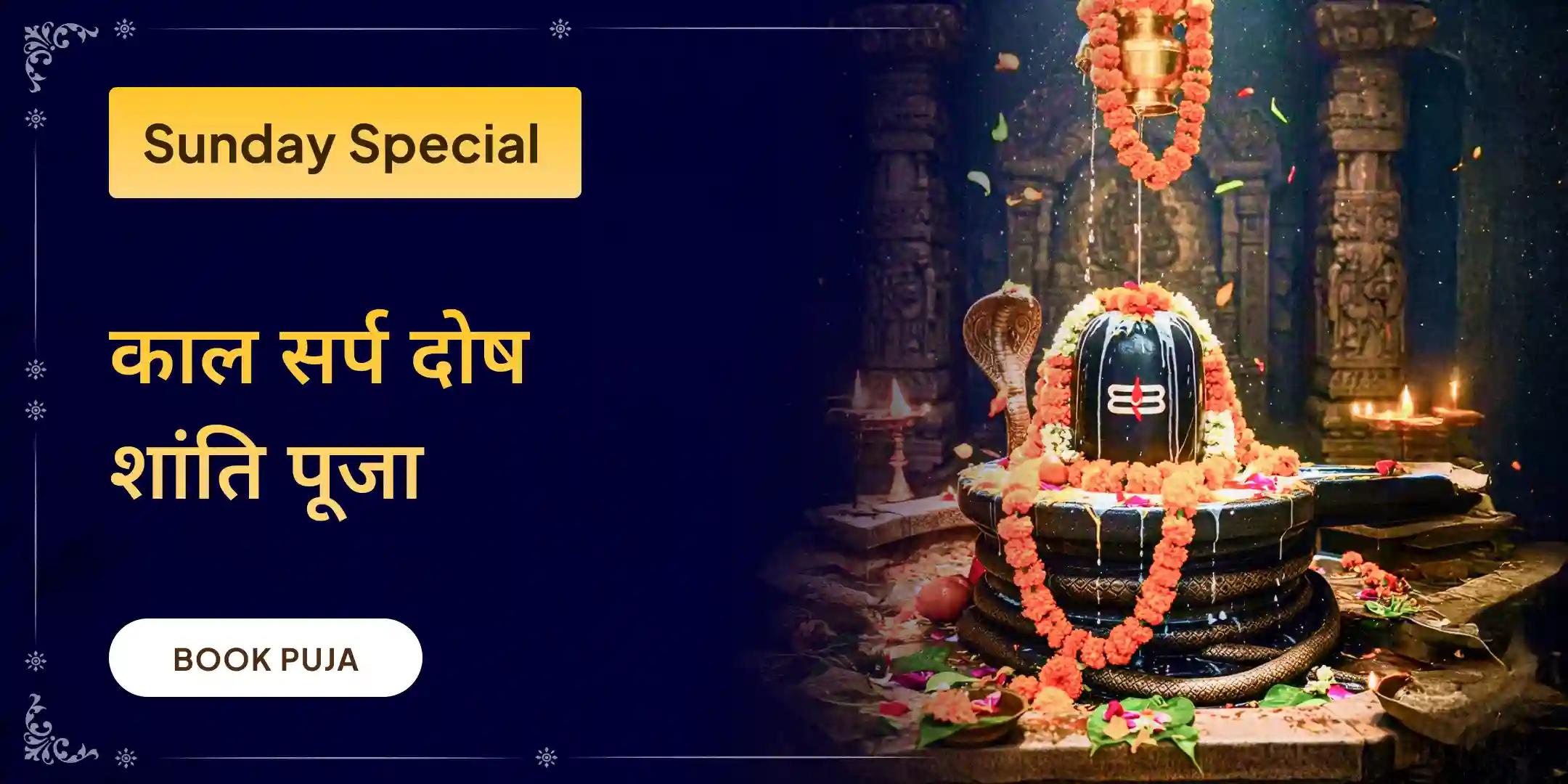 काल सर्प दोष निवारण पूजा एवं त्र्यंबकेश्वर ज्योतिर्लिंग रुद्राभिषेक काल सर्प दोष निवारण पूजा एवं त्र्यंबकेश्वर ज्योतिर्लिंग रुद्राभिषेक