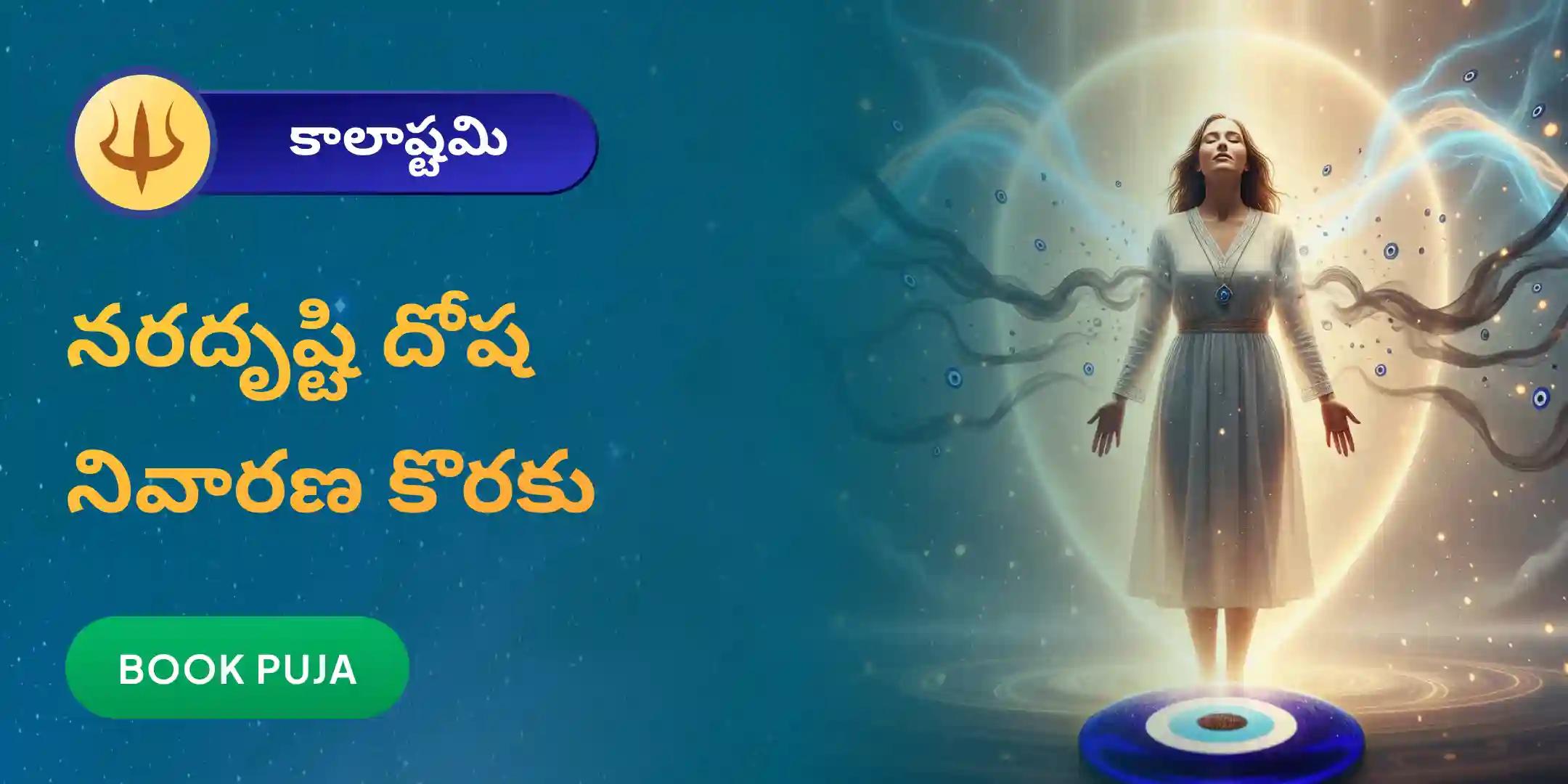 నరదృష్టి దోష శాంతి పూజ మరియు హోమం నరదృష్టి దోష శాంతి పూజ మరియు హోమం