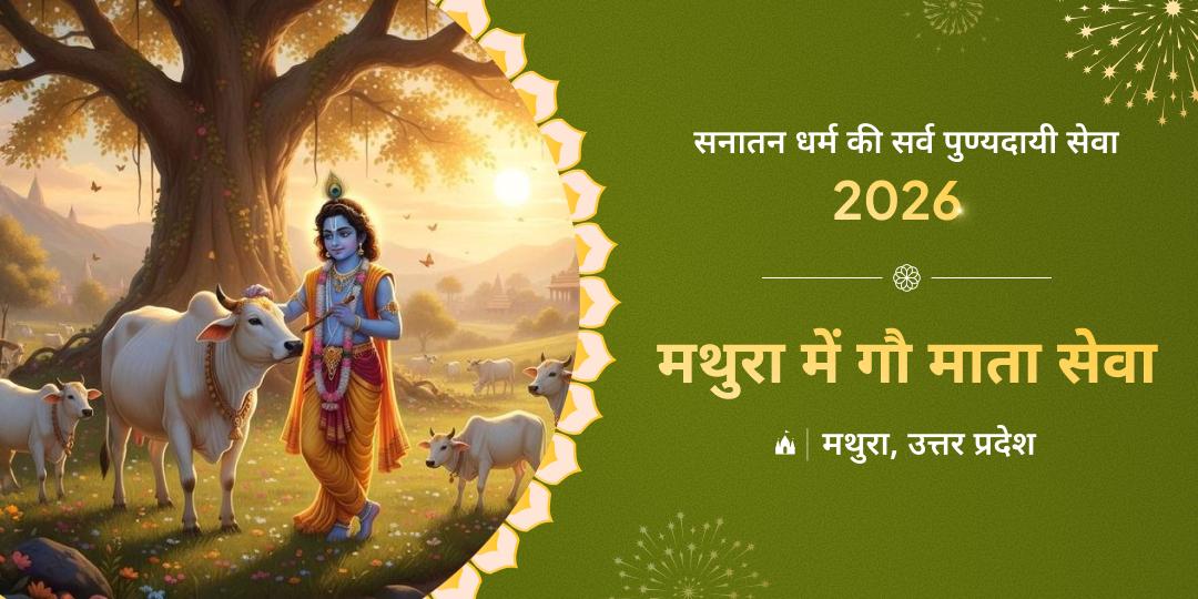 मथुरा में गौ माता सेवा मथुरा में गौ माता सेवा