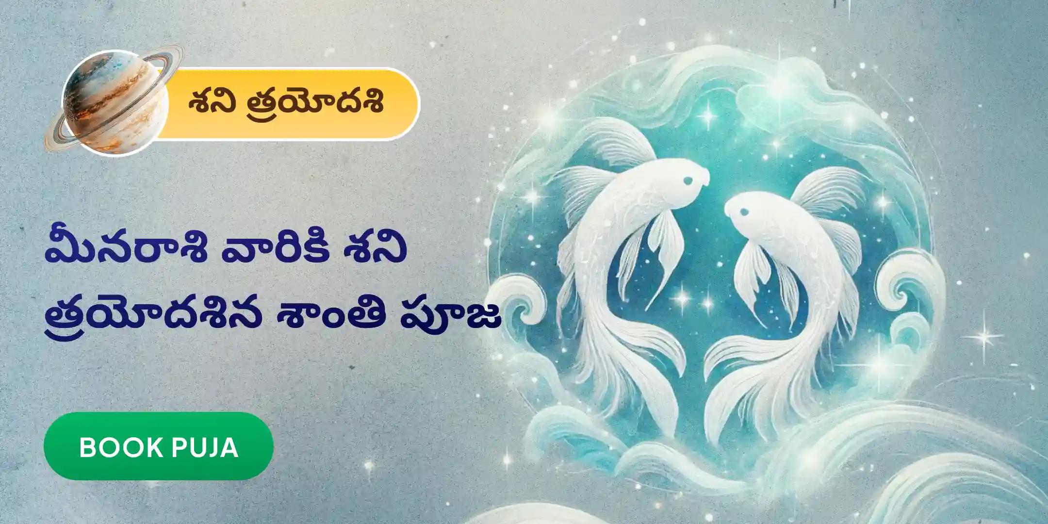 మీనరాశి వారికి కోసం ఏలి నాటి శని శాంతి పూజ మీనరాశి వారికి కోసం ఏలి నాటి శని శాంతి పూజ