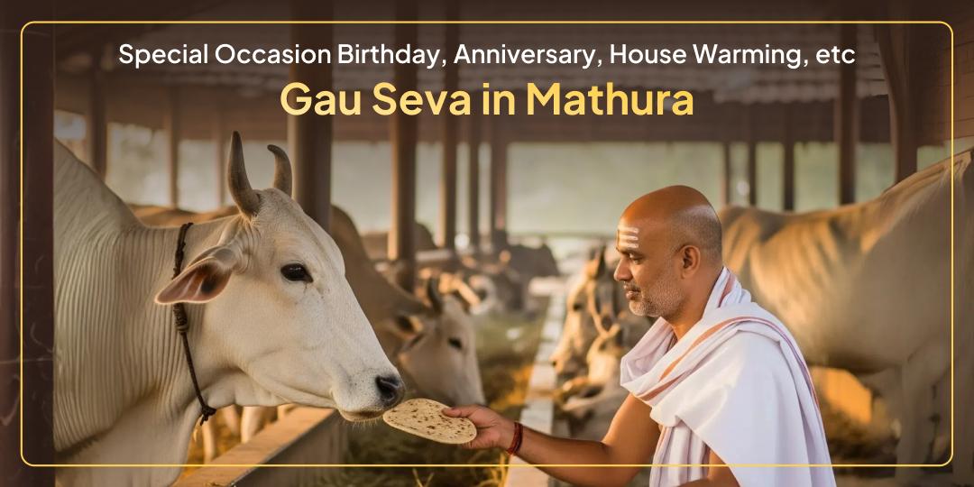Special Occasion - Gau Seva in Mathura Special Occasion - Gau Seva in Mathura