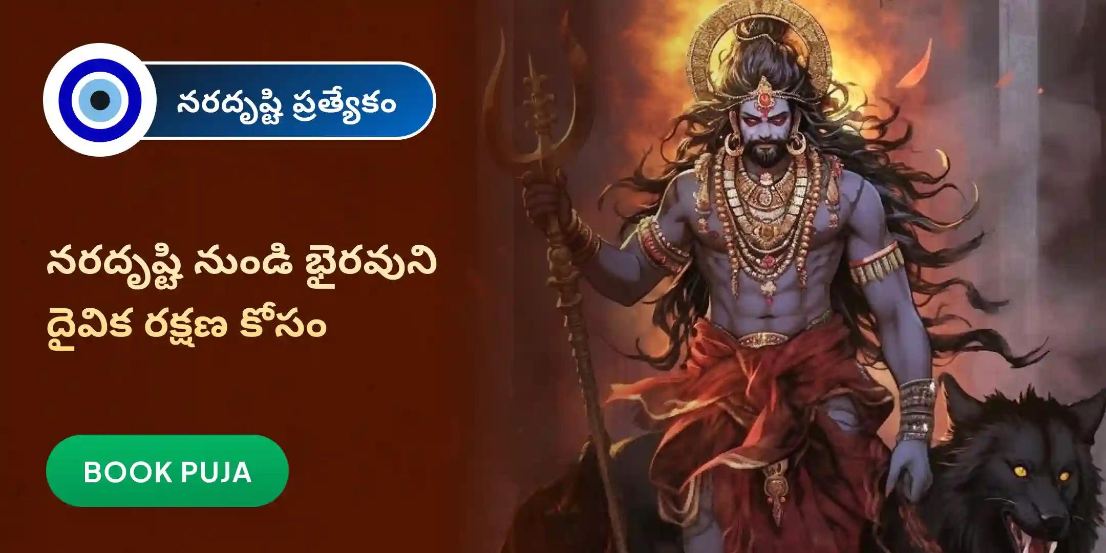 నరదృష్టి దోష శాంతి పూజ మరియు హోమం నరదృష్టి దోష శాంతి పూజ మరియు హోమం