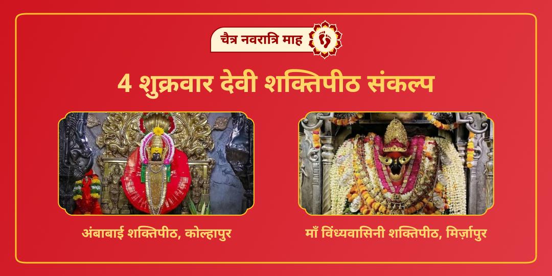 अंबाबाई का वैभव और विंध्यवासिनी की शक्ति! इस चैत्र माह, 1 बुकिंग में हर शुक्रवार चढ़ावा कर घर लाएं धन-समृद्धि और विजय का वरदान। अंबाबाई का वैभव और विंध्यवासिनी की शक्ति! इस चैत्र माह, 1 बुकिंग में हर शुक्रवार चढ़ावा कर घर लाएं धन-समृद्धि और विजय का वरदान।