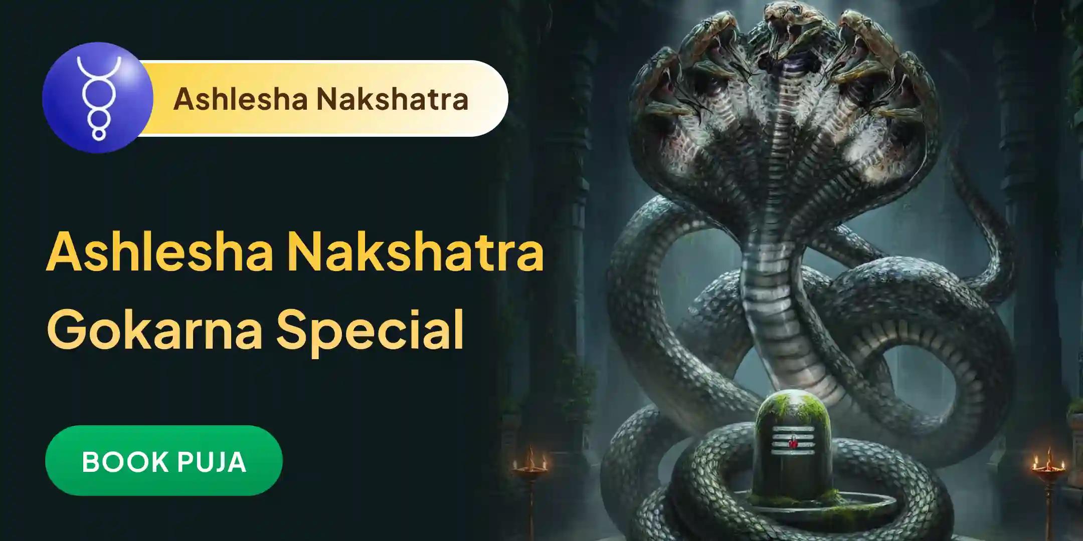 Ashlesha Naag Bali Puja Ashlesha Naag Bali Puja