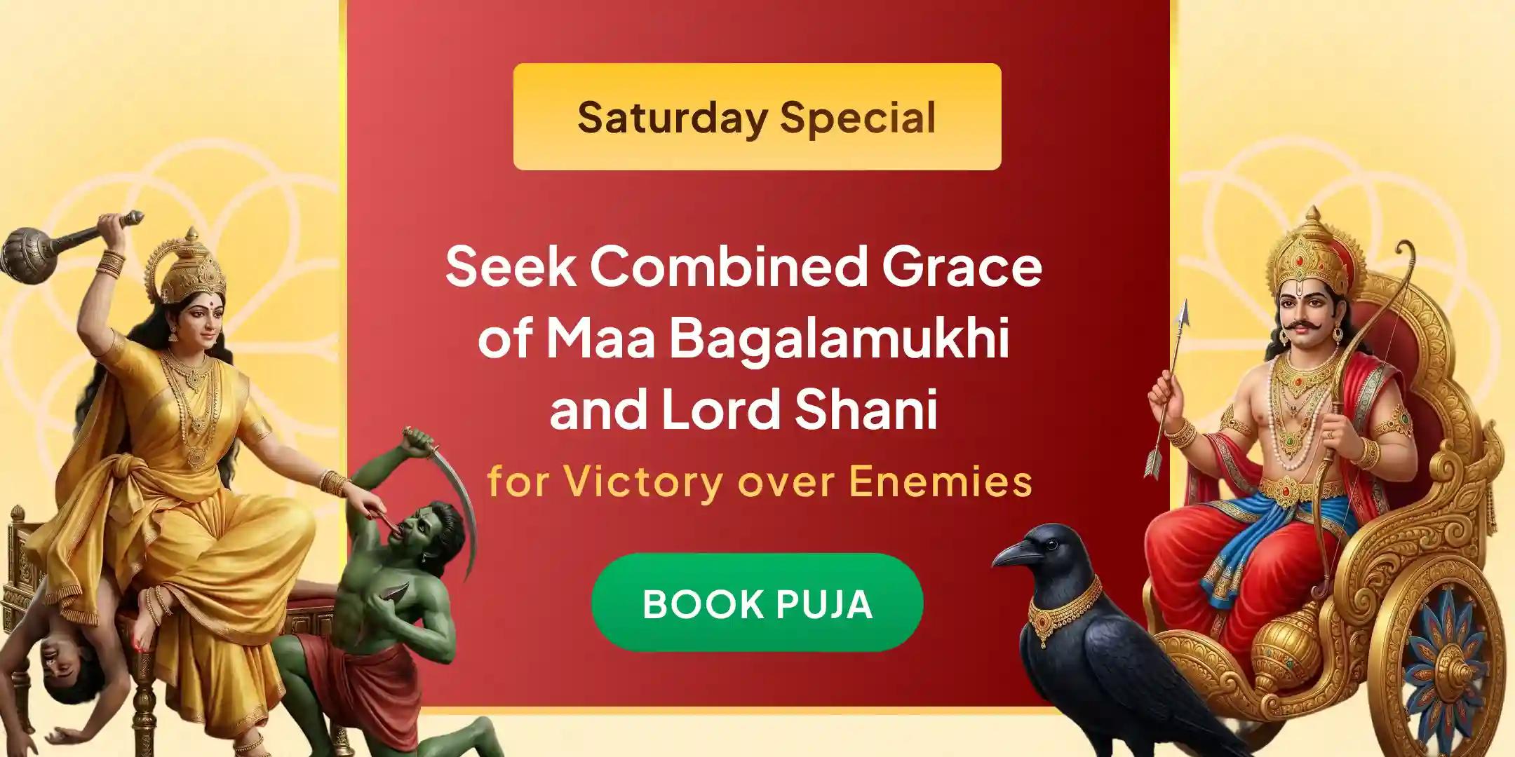 Maa Bagalamukhi Tantra Yukta Havan and Shani Til Tel Abhishek Maa Bagalamukhi Tantra Yukta Havan and Shani Til Tel Abhishek