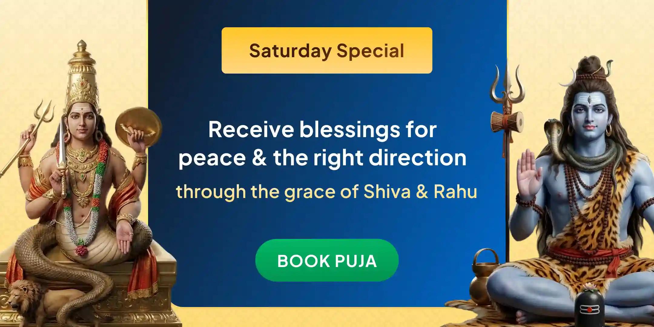 Rahu-Ketu Peeda Shanti Puja and Shiv Rudrabishek Rahu-Ketu Peeda Shanti Puja and Shiv Rudrabishek
