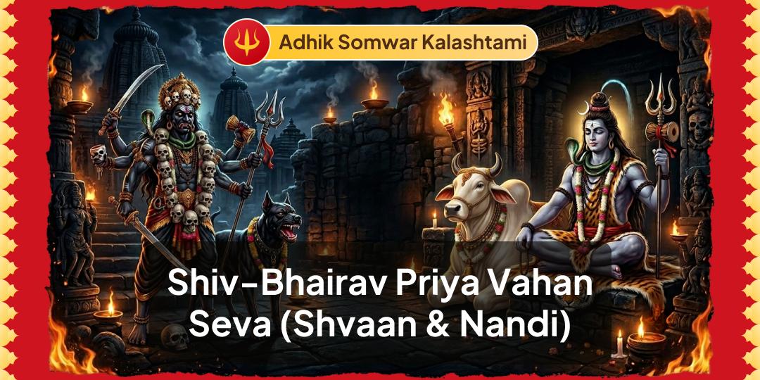 Adhik Somwar Kalashtami Special – Shiv-Bhairav Priya Vahan Seva to Shvaan & Nandi at Kashi – Batuk Bhairav Temple & Nandi Shala – Book Now! Adhik Somwar Kalashtami Special – Shiv-Bhairav Priya Vahan Seva to Shvaan & Nandi at Kashi – Batuk Bhairav Temple & Nandi Shala – Book Now!