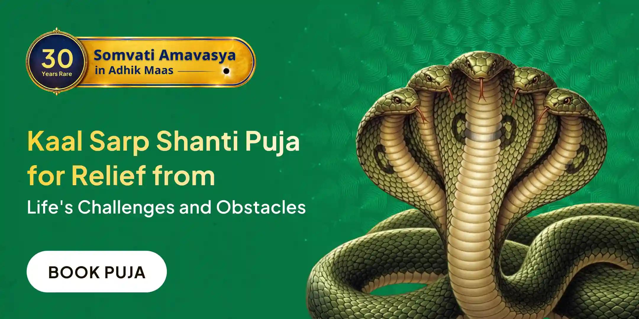 Kaal Sarp Dosh Shanti Puja at Trimbakeshwar Kshetra Kaal Sarp Dosh Shanti Puja at Trimbakeshwar Kshetra