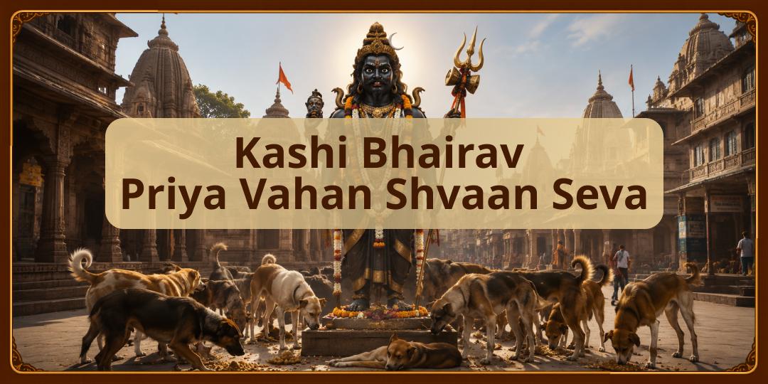 Serve Bhairav’s favorite, Shvaans in Kashi. Receive blessings for relief from Kaal Dosha and unseen obstacles. Serve Bhairav’s favorite, Shvaans in Kashi. Receive blessings for relief from Kaal Dosha and unseen obstacles.