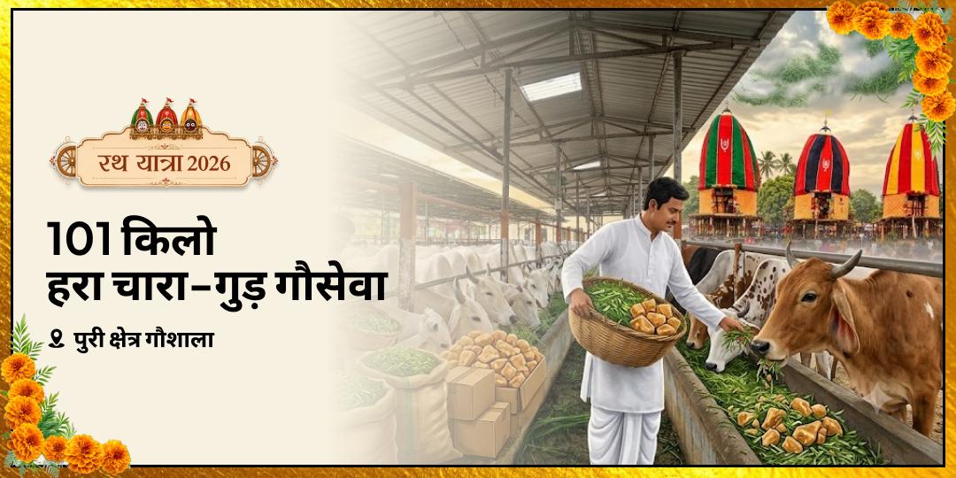 रथ यात्रा प्रथम दिवस पर पुरी गौशाला में 101 किलो हरा चारा - गुड़ गौसेवा - धन-संकट, पितृ दोष, ग्रह-बाधा निवारण हेतु अभी सहभागी बनें! रथ यात्रा प्रथम दिवस पर पुरी गौशाला में 101 किलो हरा चारा - गुड़ गौसेवा - धन-संकट, पितृ दोष, ग्रह-बाधा निवारण हेतु अभी सहभागी बनें!
