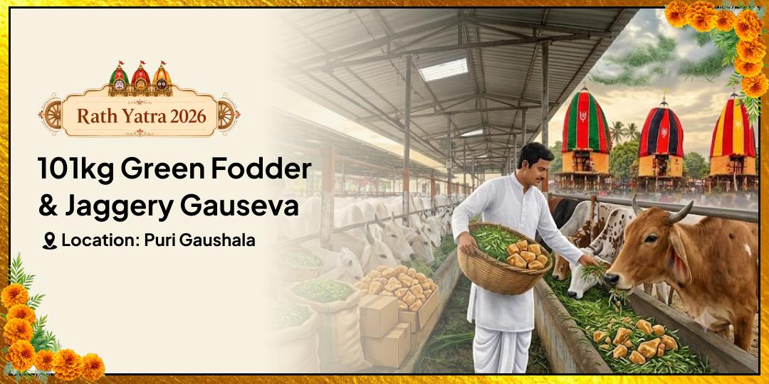 Once in a Year! On the First Day of Rath Yatra — 101kg Green Fodder + Jaggery Maha Seva at Puri Gaushala — For Relief from Financial Hardship, Pitru Dosha & Planetary Afflictions — Join Now! Once in a Year! On the First Day of Rath Yatra — 101kg Green Fodder + Jaggery Maha Seva at Puri Gaushala — For Relief from Financial Hardship, Pitru Dosha & Planetary Afflictions — Join Now!