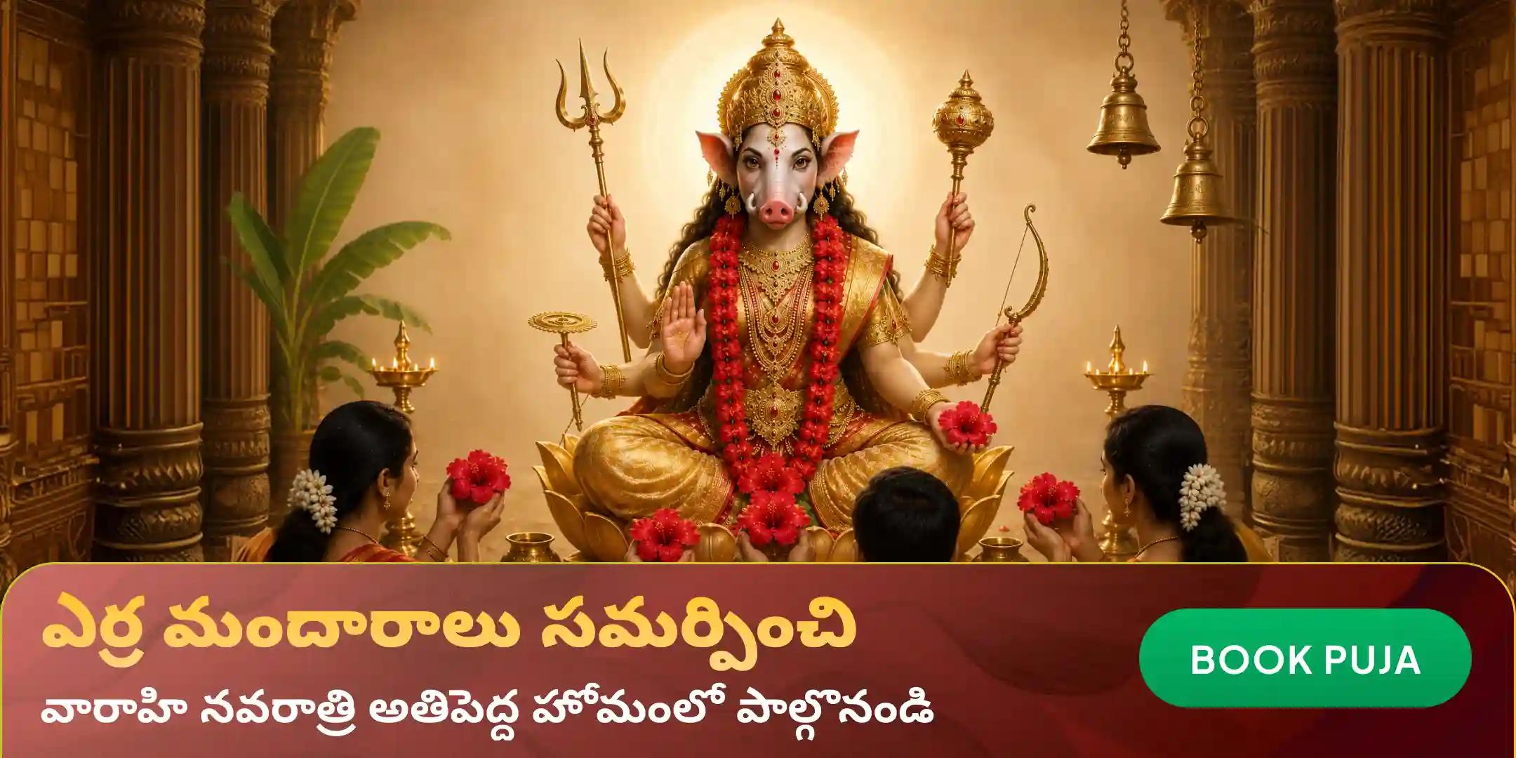 11 కేజీల ఎర్ర మందార పూలతో వారాహి దేవికి దివ్యార్చన మరియు 100 కేజీల నువ్వుల హోమం 11 కేజీల ఎర్ర మందార పూలతో వారాహి దేవికి దివ్యార్చన మరియు 100 కేజీల నువ్వుల హోమం