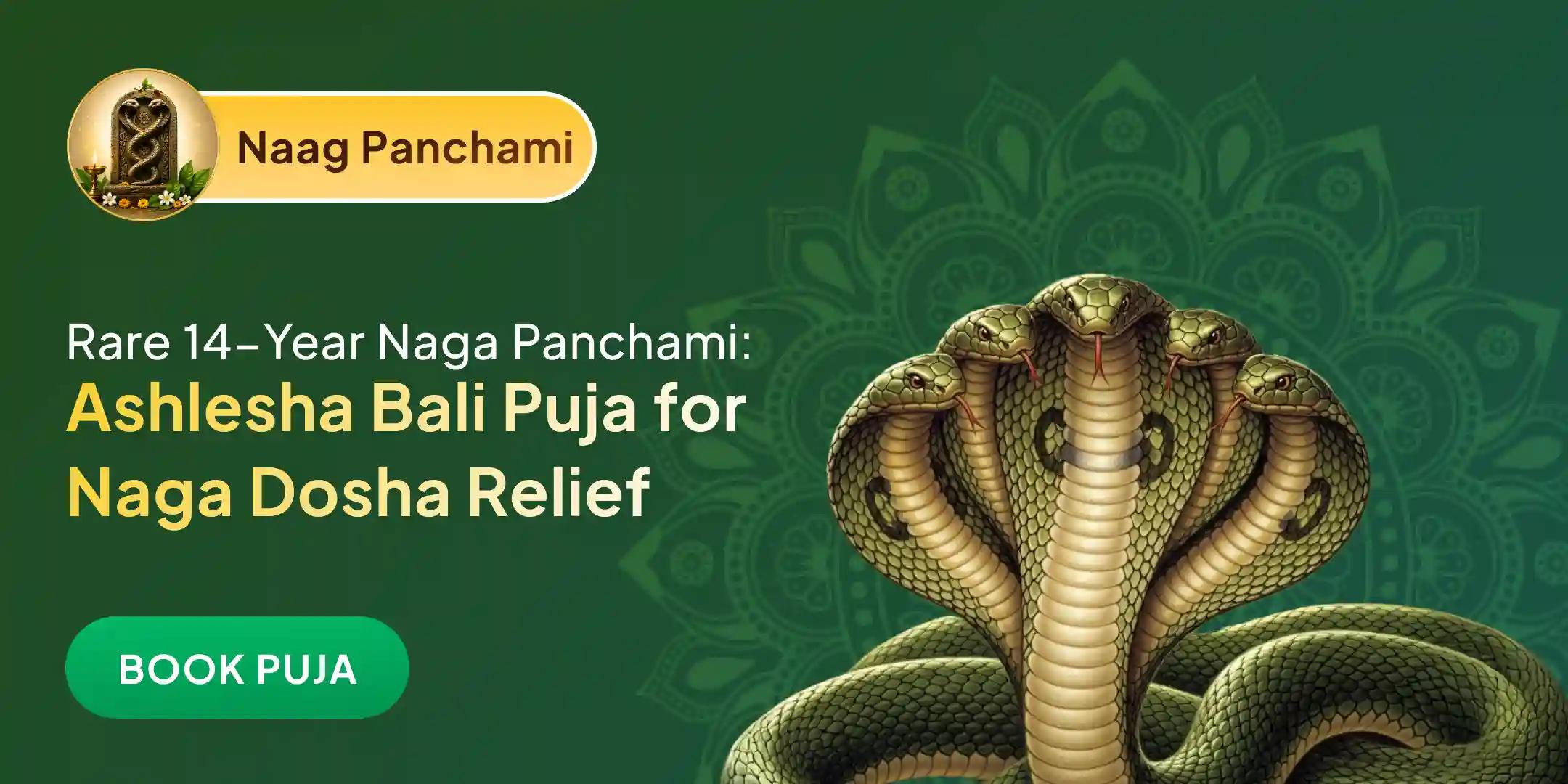 Ashlesha Bali Puja Ashlesha Bali Puja