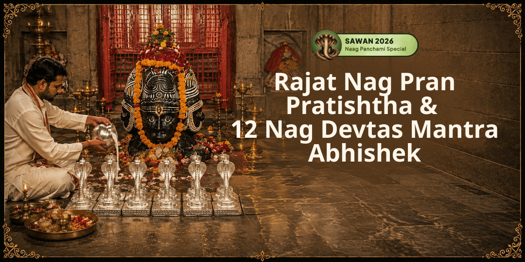 Invite a Living Naga Presence into Your Life This Nag Panchami with Rajat Nag Pran Pratistha & 12 Nag Devtas Mantra Abhishek at Pashupatinath Temple, Haridwar! Invite a Living Naga Presence into Your Life This Nag Panchami with Rajat Nag Pran Pratistha & 12 Nag Devtas Mantra Abhishek at Pashupatinath Temple, Haridwar!