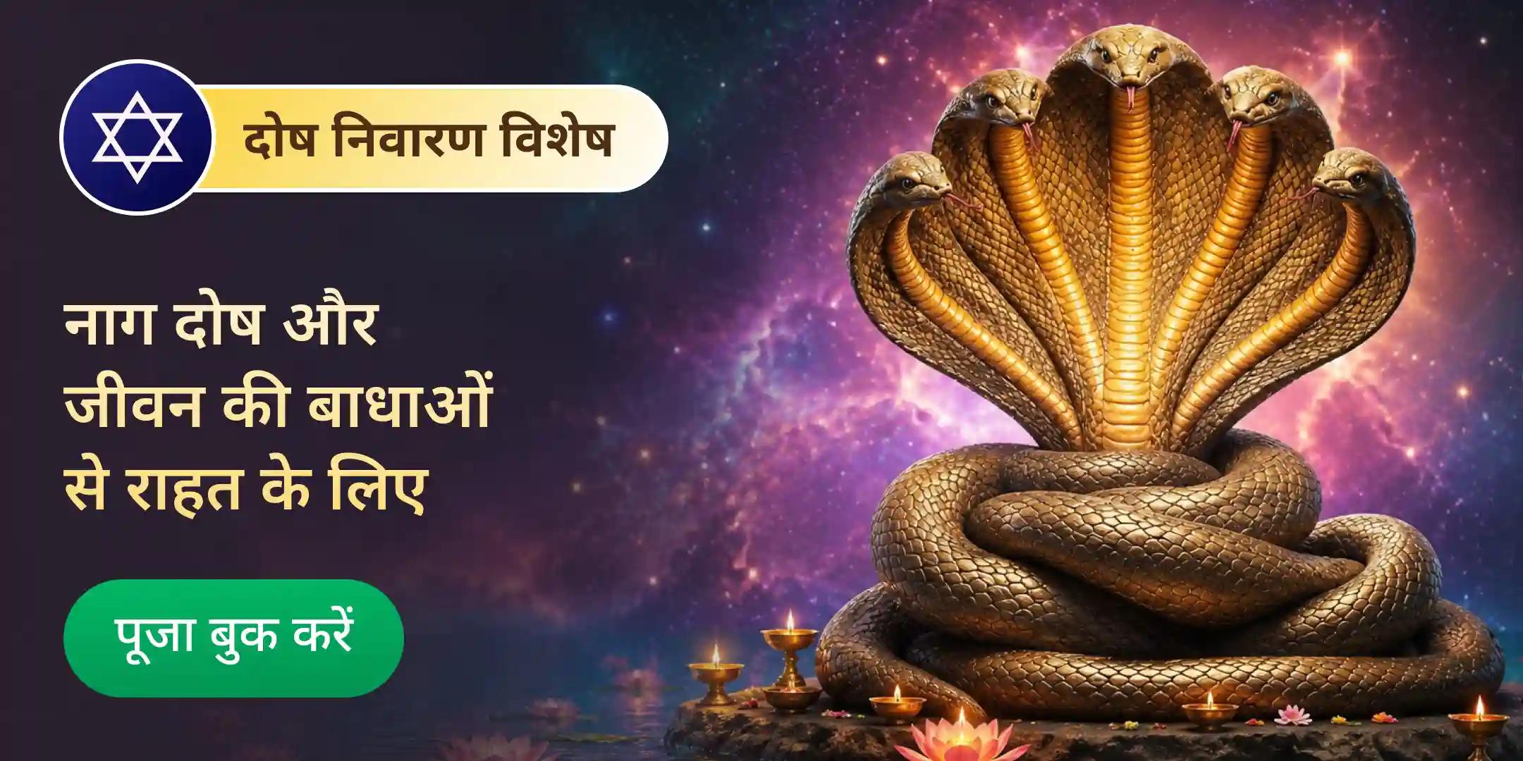 नाग दोष शांति: हरिद्वार में नाग बली पूजा नाग दोष शांति: हरिद्वार में नाग बली पूजा