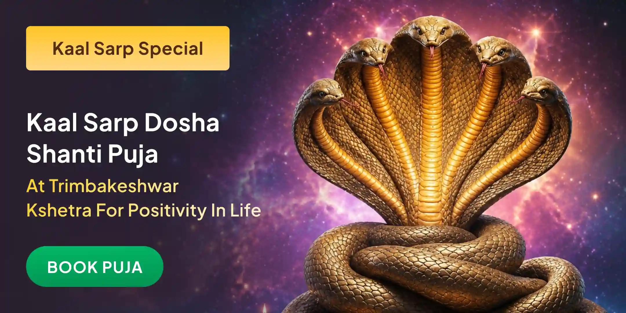 Kaal Sarp Dosh Shanti Puja Trimbakeshwar Kshetra Kaal Sarp Dosh Shanti Puja Trimbakeshwar Kshetra
